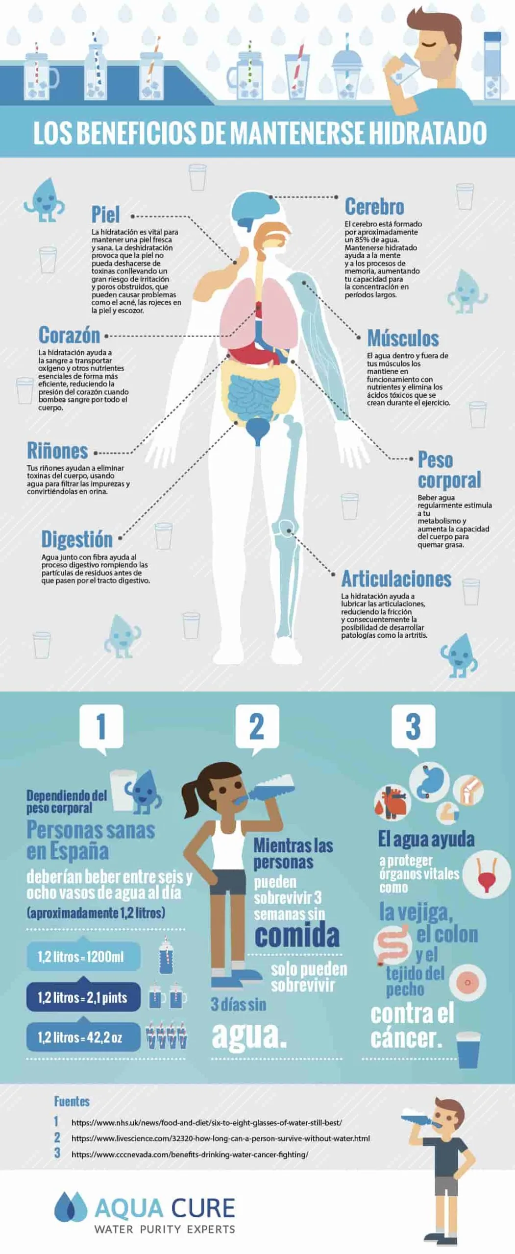 La importancia de la hidratación en la salud y el rendimiento físico.