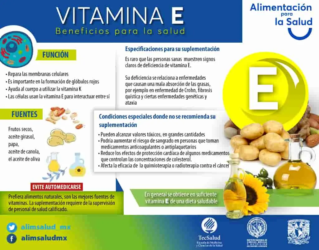 La importancia de la vitamina E en la dieta y su papel en la protección de la piel y la prevención del envejecimiento.