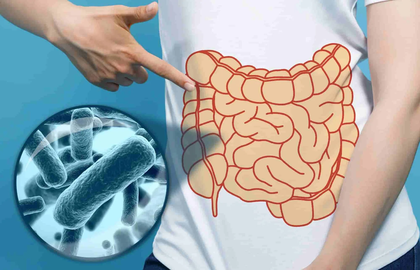 La importancia de los probióticos en la dieta y su impacto en la salud digestiva y el sistema inmune.
