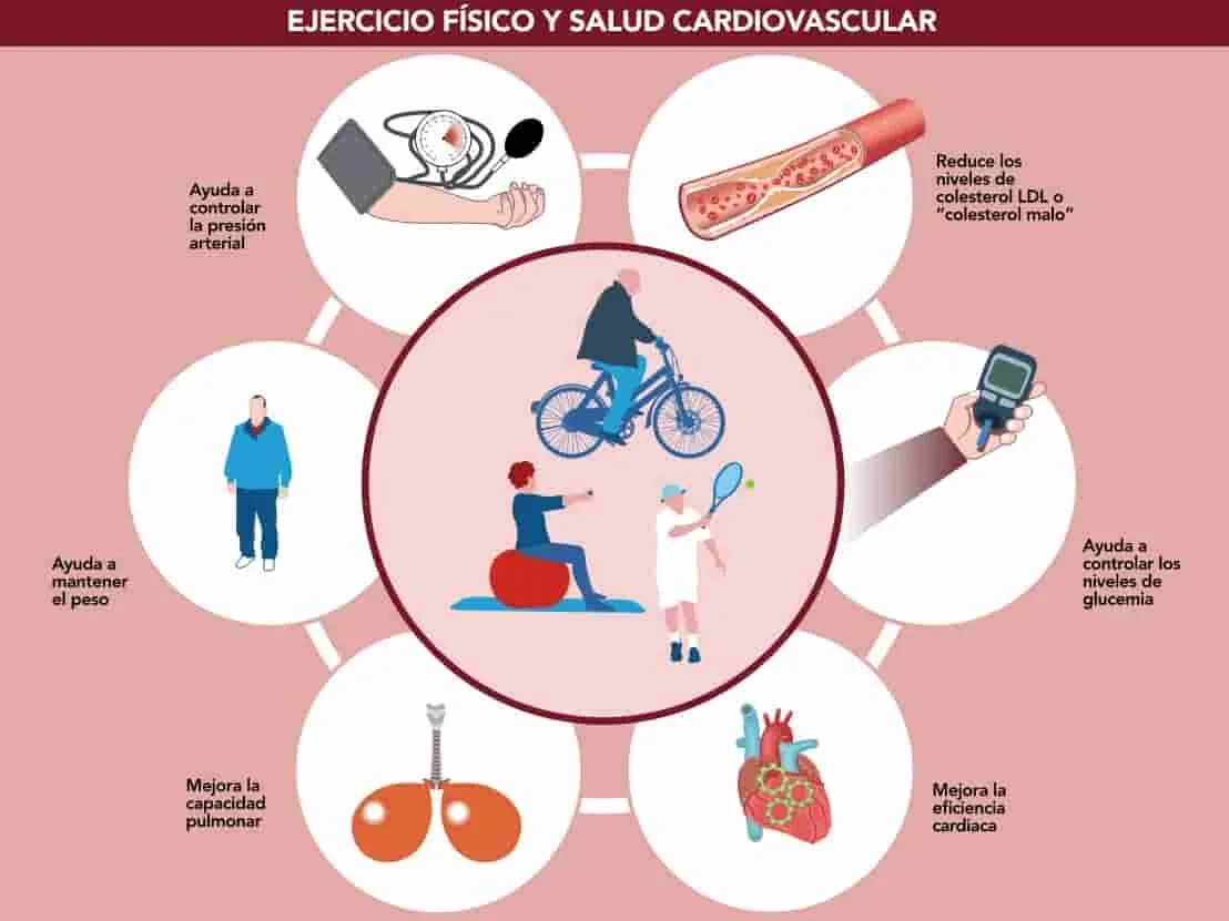 Los efectos del sedentarismo en la salud y consejos para incorporar más actividad física en la vida diaria.