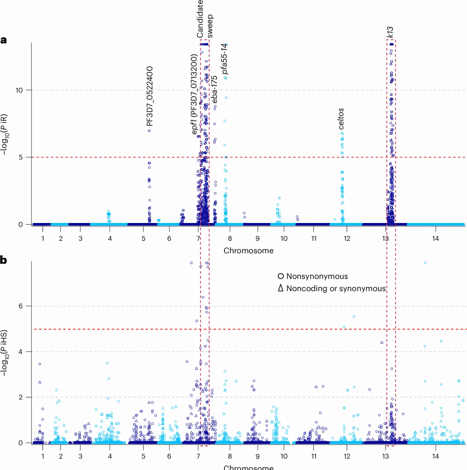 Polimorfismos en PX1 de Plasmodium falciparum reducen sensibilidad a antimaláricos en Uganda